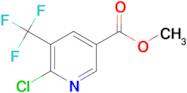 Methyl 6-chloro-5-(trifluoromethyl)nicotinate