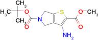 5-TERT-BUTYL 2-METHYL 3-AMINO-4H-THIENO[2,3-C]PYRROLE-2,5(6H)-DICARBOXYLATE