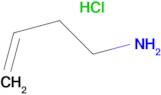 BUT-3-EN-1-AMINE HCL