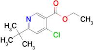 ETHYL 6-(TERT-BUTYL)-4-CHLORONICOTINATE