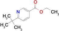 ETHYL 6-(TERT-BUTYL)NICOTINATE