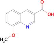 8-METHOXYQUINOLINE-3-CARBOXYLIC ACID