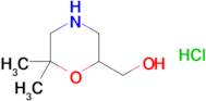 (6,6-DIMETHYLMORPHOLIN-2-YL)METHANOL HCL