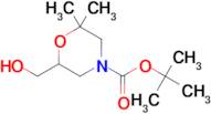 tert-butyl 6-(Hydroxymethyl)-2,2-dimethylmorpholine-4-carboxylate
