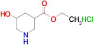 ETHYL 5-HYDROXYPIPERIDINE-3-CARBOXYLATE HCL