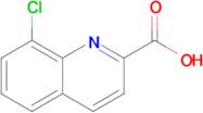 8-CHLOROQUINOLINE-2-CARBOXYLIC ACID