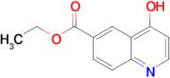 ETHYL 4-HYDROXYQUINOLINE-6-CARBOXYLATE