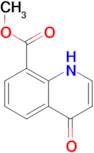 METHYL 4-HYDROXYQUINOLINE-8-CARBOXYLATE