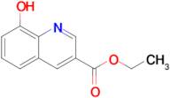 ETHYL 8-HYDROXYQUINOLINE-3-CARBOXYLATE