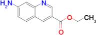 ETHYL 7-AMINOQUINOLINE-3-CARBOXYLATE