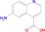 6-AMINOQUINOLINE-4-CARBOXYLIC ACID