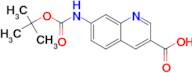 7-(TERT-BUTOXYCARBONYLAMINO)QUINOLINE-3-CARBOXYLIC ACID