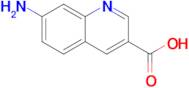 7-AMINOQUINOLINE-3-CARBOXYLIC ACID