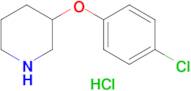 3-(4-CHLOROPHENOXY)PIPERIDINE HCL