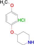 4-(4-METHOXYPHENOXY)PIPERIDINE HCL