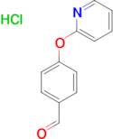 4-(PYRIDIN-2-YLOXY)BENZALDEHYDE HCL