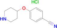4-(PIPERIDIN-4-YLOXY)BENZONITRILE HCL