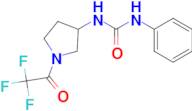 1-PHENYL-3-(1-(2,2,2-TRIFLUOROACETYL)PYRROLIDIN-3-YL)UREA