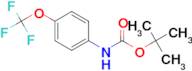 TERT-BUTYL 4-(TRIFLUOROMETHOXY)PHENYLCARBAMATE