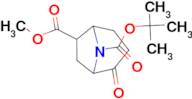 8-N-BOC 2-OXO-8-AZABICYCLO[3.2.1]OCTANE-6-CARBOXYLIC ACID METHYL ESTER