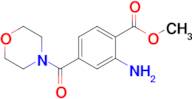 METHYL 2-AMINO-4-(MORPHOLINE-4-CARBONYL)BENZOATE