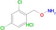 O-(2,4-DICHLOROBENZYL)HYDROXYLAMINE HCL