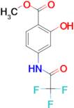 METHYL 2-HYDROXY-4-(2,2,2-TRIFLUOROACETAMIDO)BENZOATE