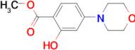 METHYL 2-HYDROXY-4-MORPHOLINOBENZOATE