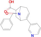 8-BENZOYL-2-(PYRIDIN-3-YL)-8-AZABICYCLO[3.2.1]OCT-2-ENE-6-CARBOXYLIC ACID