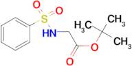 TERT-BUTYL 2-(PHENYLSULFONAMIDO)ACETATE