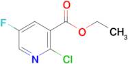 ETHYL 2-CHLORO-5-FLUOROPYRIDINE-3-CARBOXYLATE