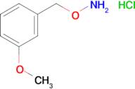 O-(3-METHOXYBENZYL)HYDROXYLAMINE HCL