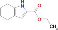 4,5,6,7-TETRAHYDRO-1H-INDOLE-2-CARBOXYLIC ACID ETHYL ESTER