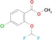 METHYL 4-CHLORO-2-DIFLUOROMETHOXYBENZOATE