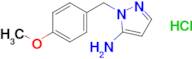 1-(4-METHOXYBENZYL)-1H-PYRAZOL-5-AMINE HCL