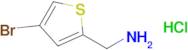 (4-Bromothiophen-2-yl)methanamine hydrochloride