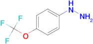 [4-(trifluoromethoxy)phenyl]hydrazine