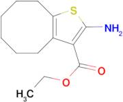 ethyl 2-amino-4,5,6,7,8,9-hexahydrocycloocta[b]thiophene-3-carboxylate