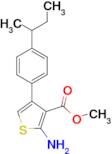 methyl 2-amino-4-(4-sec-butylphenyl)thiophene-3-carboxylate