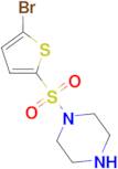 1-[(5-bromo-2-thienyl)sulfonyl]piperazine