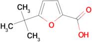 5-tert-butyl-2-furoic acid