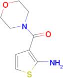 3-(morpholin-4-ylcarbonyl)thiophen-2-amine