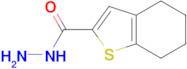 4,5,6,7-tetrahydro-1-benzothiophene-2-carbohydrazide