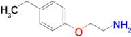 [2-(4-ethylphenoxy)ethyl]amine