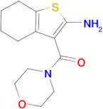 3-(morpholin-4-ylcarbonyl)-4,5,6,7-tetrahydro-1-benzothiophen-2-amine