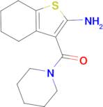 3-(piperidin-1-ylcarbonyl)-4,5,6,7-tetrahydro-1-benzothiophen-2-amine