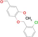 4-[(2-chlorobenzyl)oxy]-3-methoxybenzaldehyde