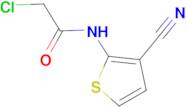 2-chloro-N-(3-cyano-2-thienyl)acetamide