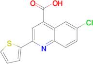 6-chloro-2-(2-thienyl)quinoline-4-carboxylic acid