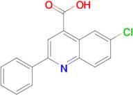 6-chloro-2-phenylquinoline-4-carboxylic acid